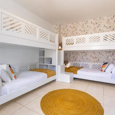 Penguina Play Blanca Lanzarote * 普拉亚布兰卡